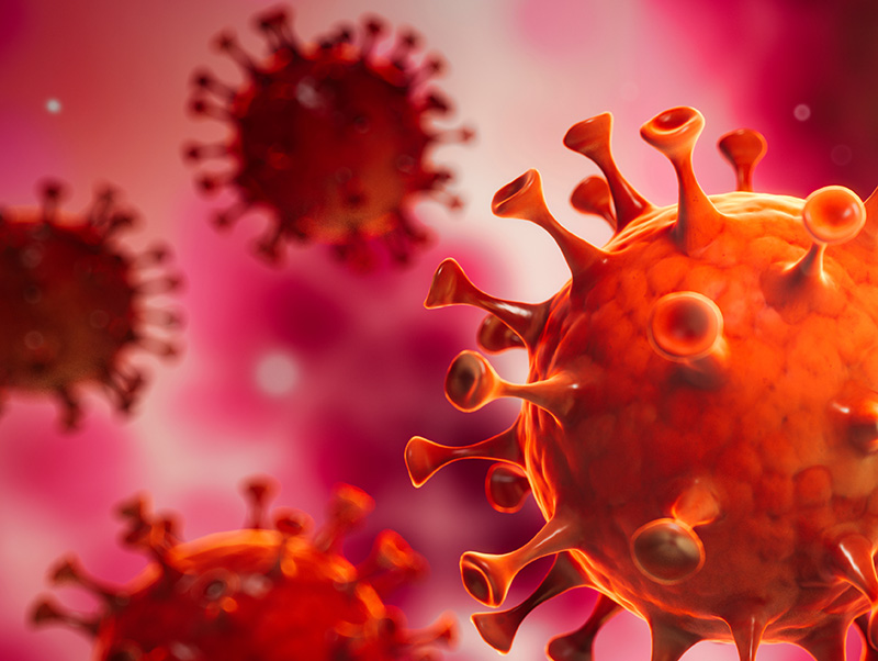 Corona Virus